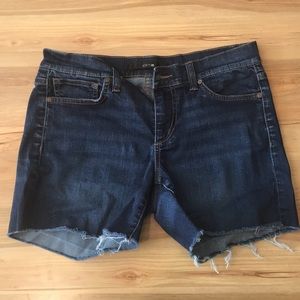 Joes shorts